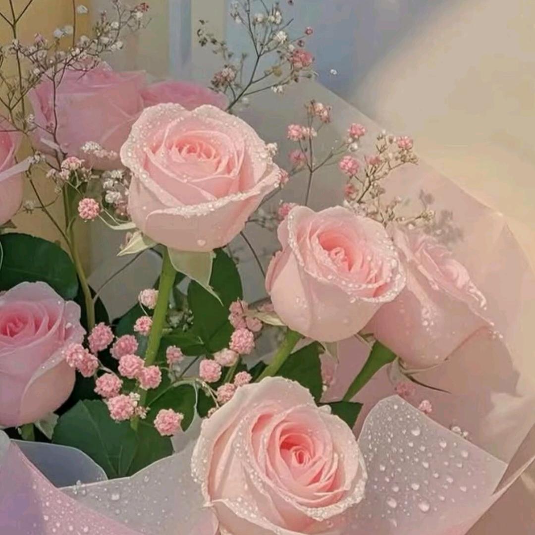 ☣︎̶💞̶释然💞̶☣︎