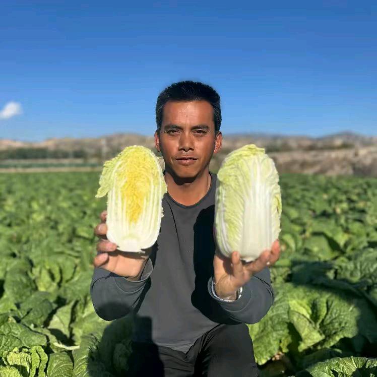 俊杰哥生鲜