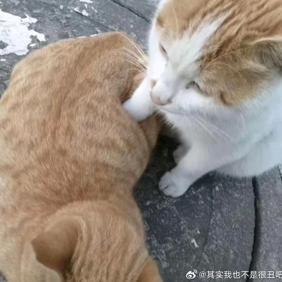 美丽凉皮摊主（见过汪苏泷版