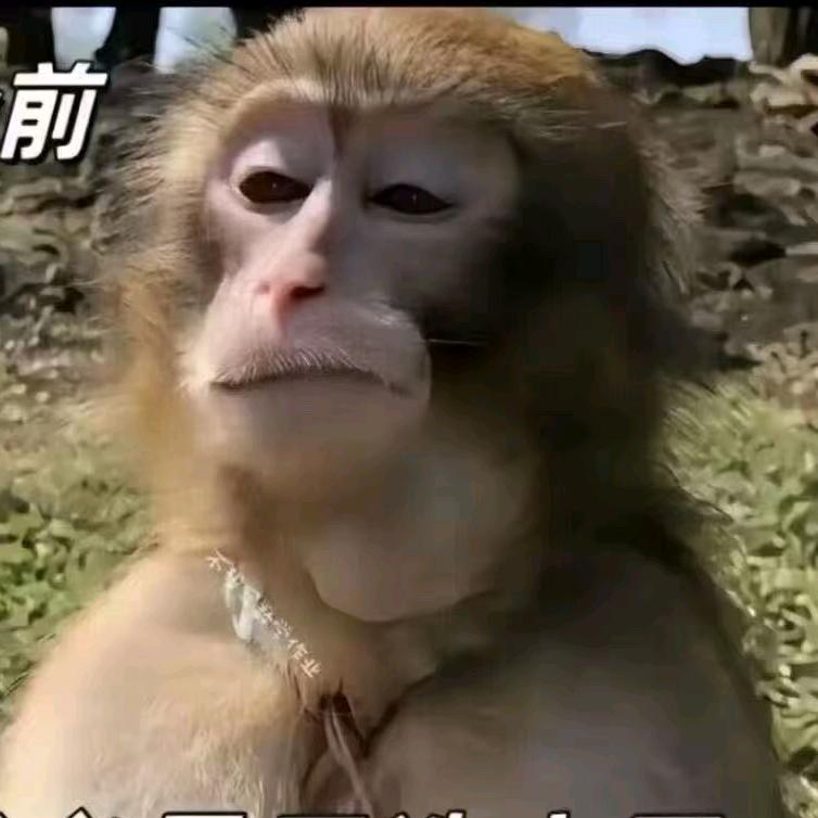 🤔名字？👌🏽🐒