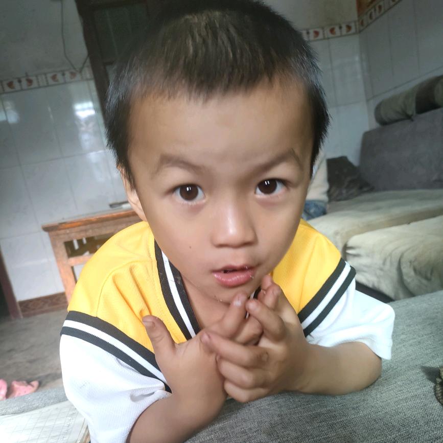 平平淡淡才是真