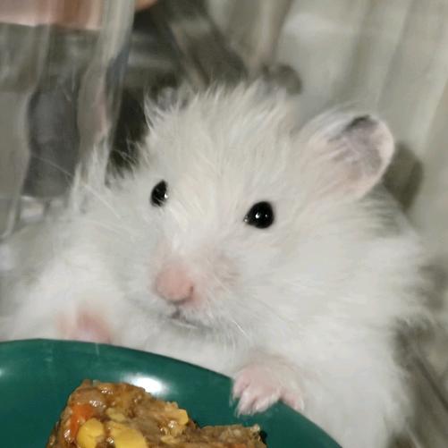 睡不够，睡不醒，睡不着