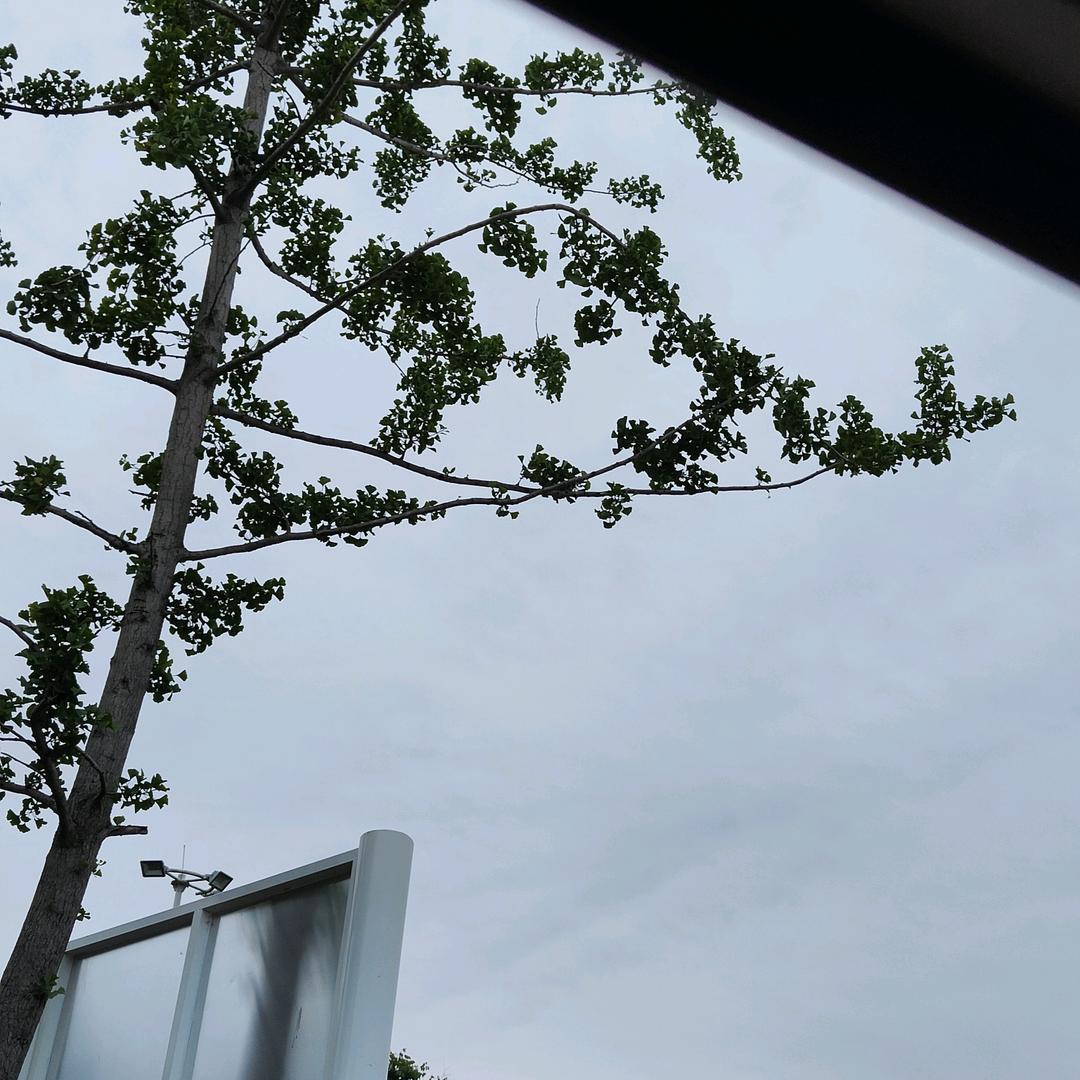 四宝妈妈
