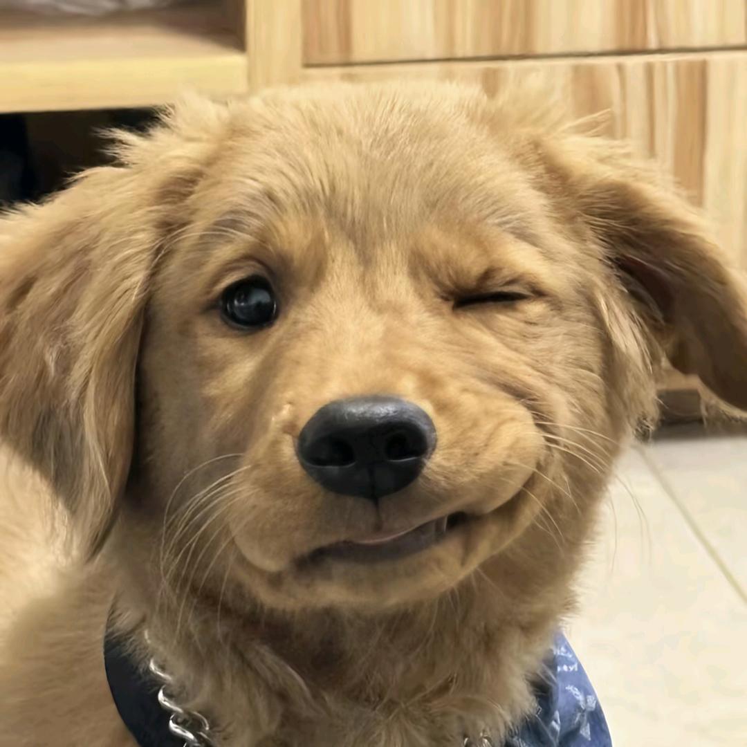 ‍‍