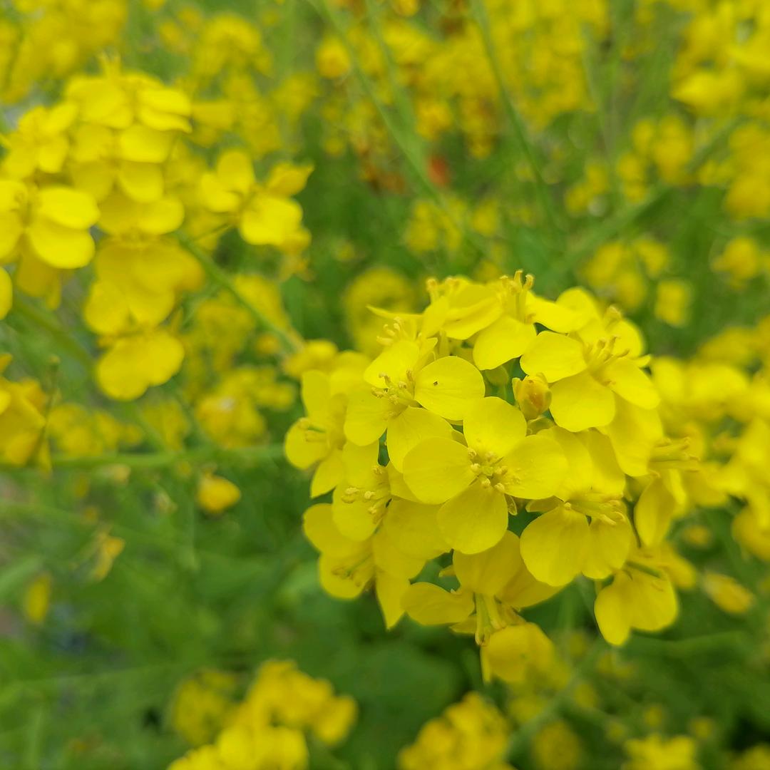 ღ᭄💞余生安好ღ᭄ 💕