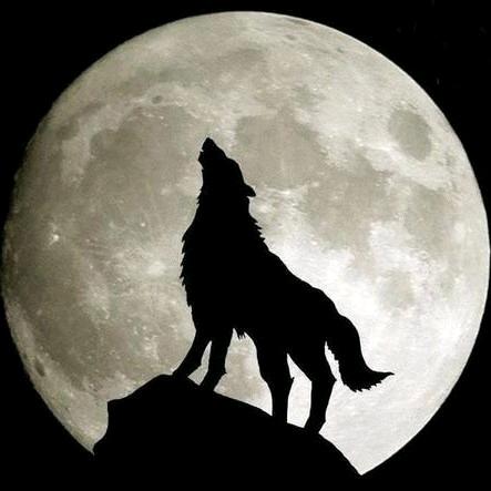 杭祥钻孔工程服务队，主营丷凸