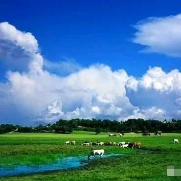 星星之火，平平淡淡