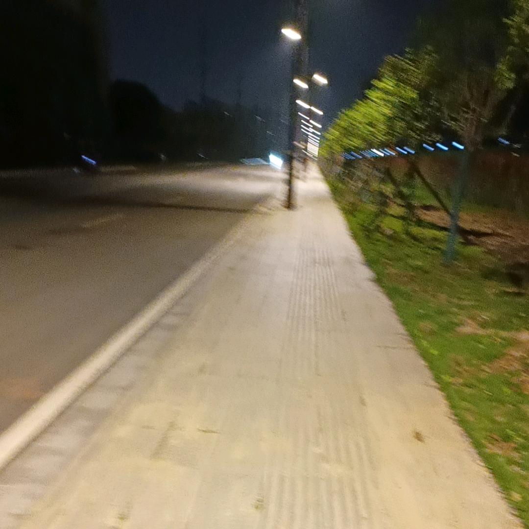 王乐