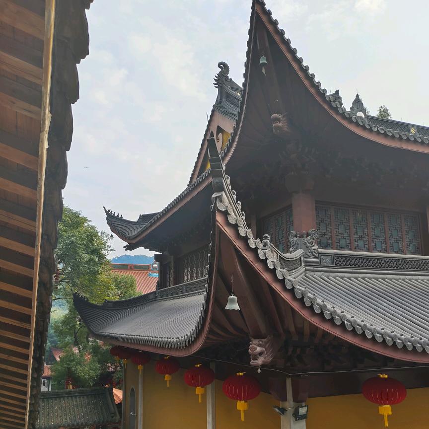 小助理