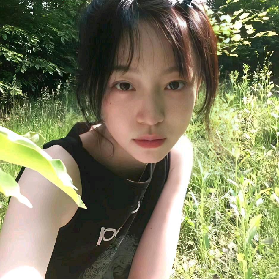 锦茎京