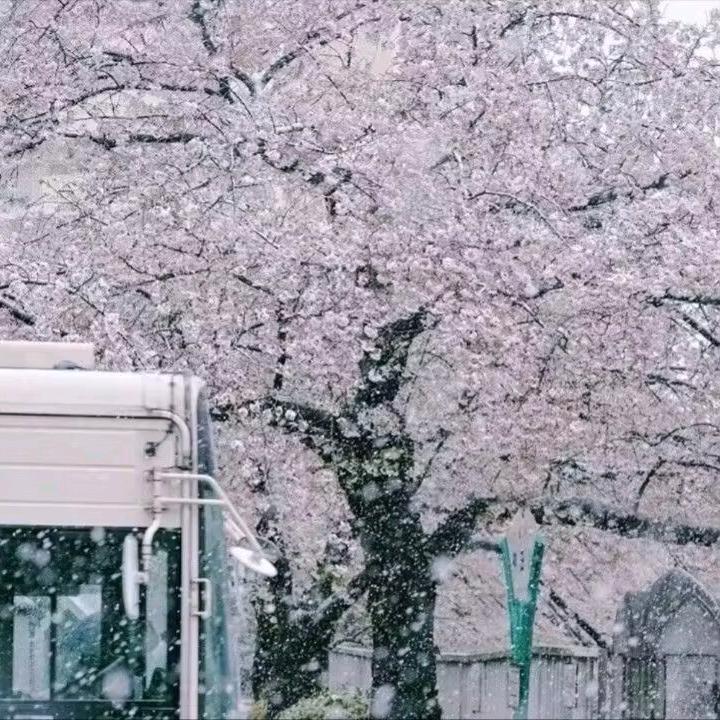 君玉
