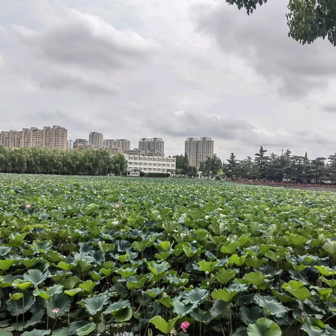 宿迁，洗车十五元。洗车美容院.在长江银行