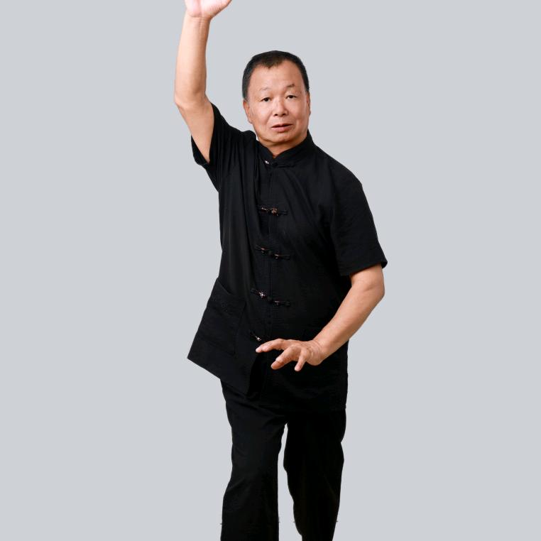 戴氏心意拳梅花拳形意拳～陈幼根