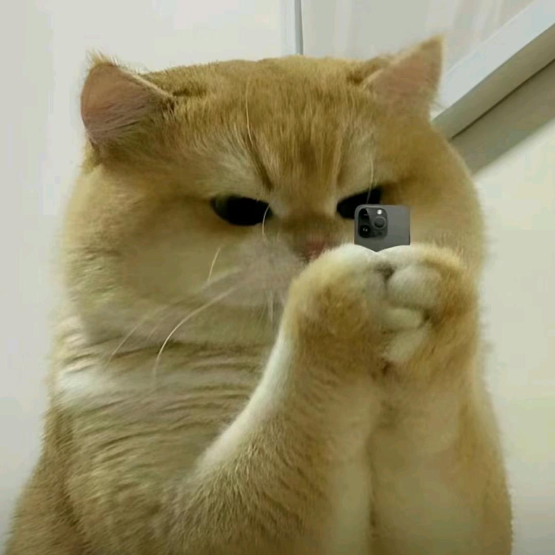*柒🈷️☜