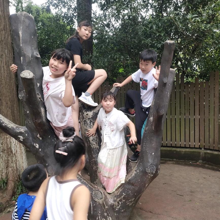 妍萌涵旭