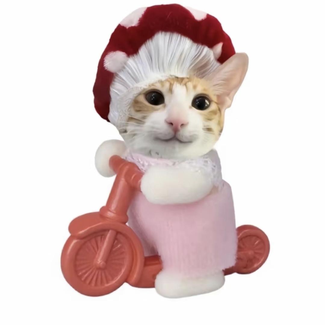 猫猫周八不洗澡