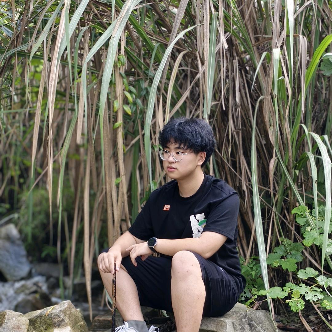 何鹏儿（二嫂儿子养鸡版）