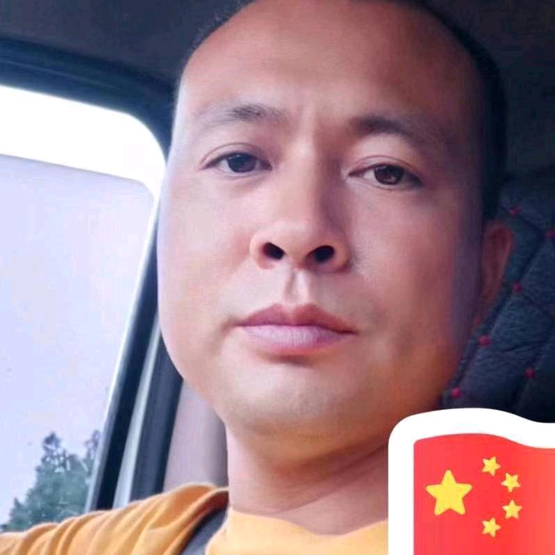 王振东