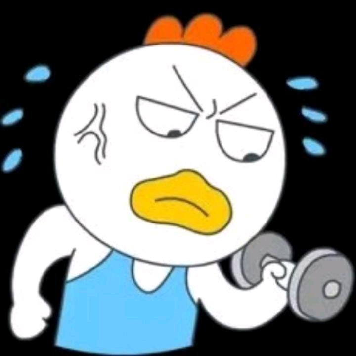 秦何松