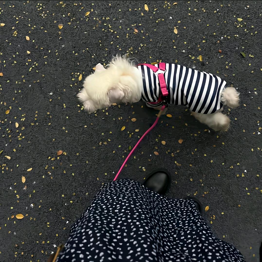奇小佩