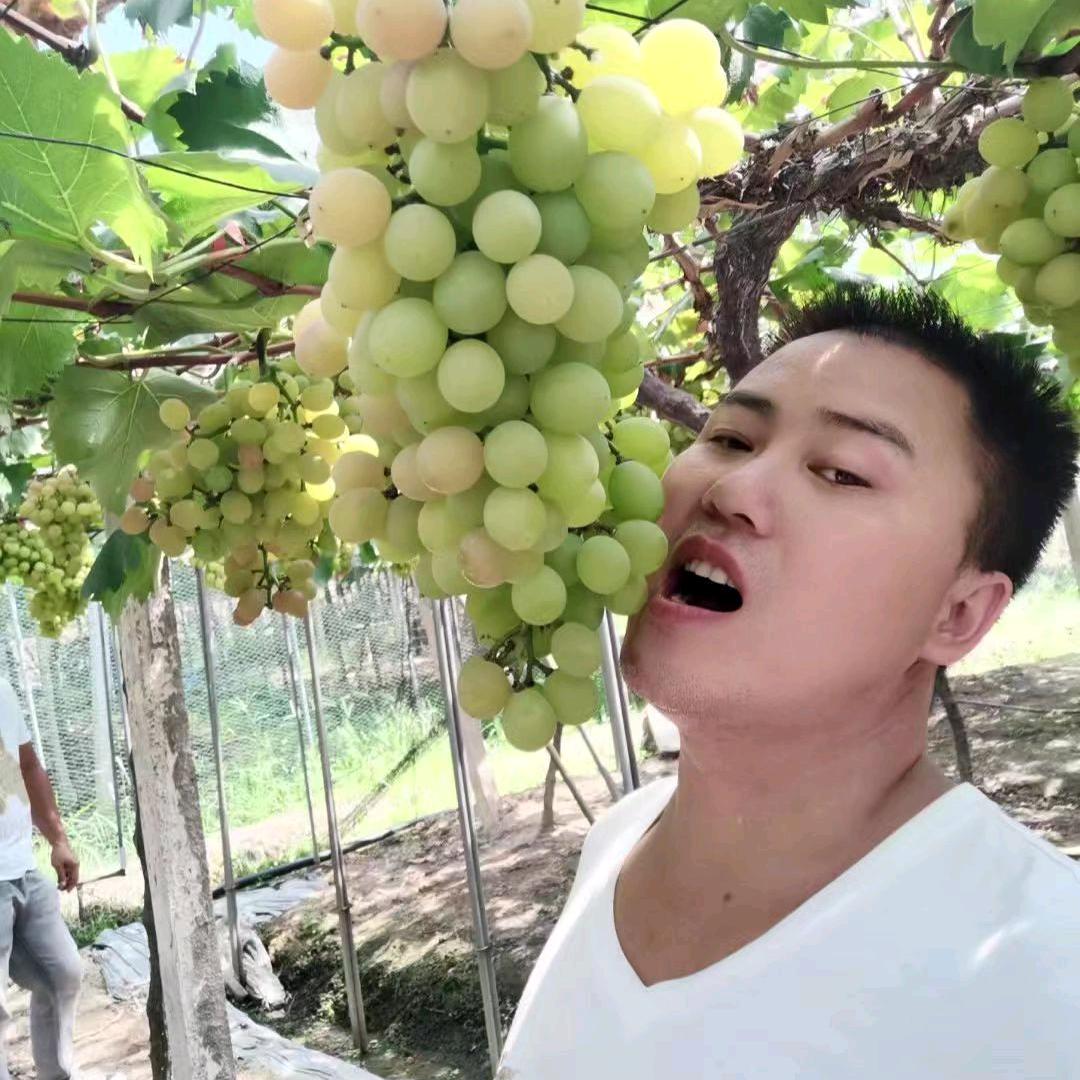 靠人不如靠自己。