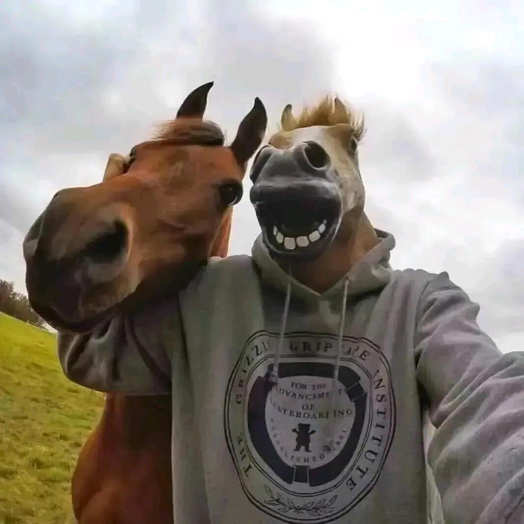 爱吃青草的大狼狗