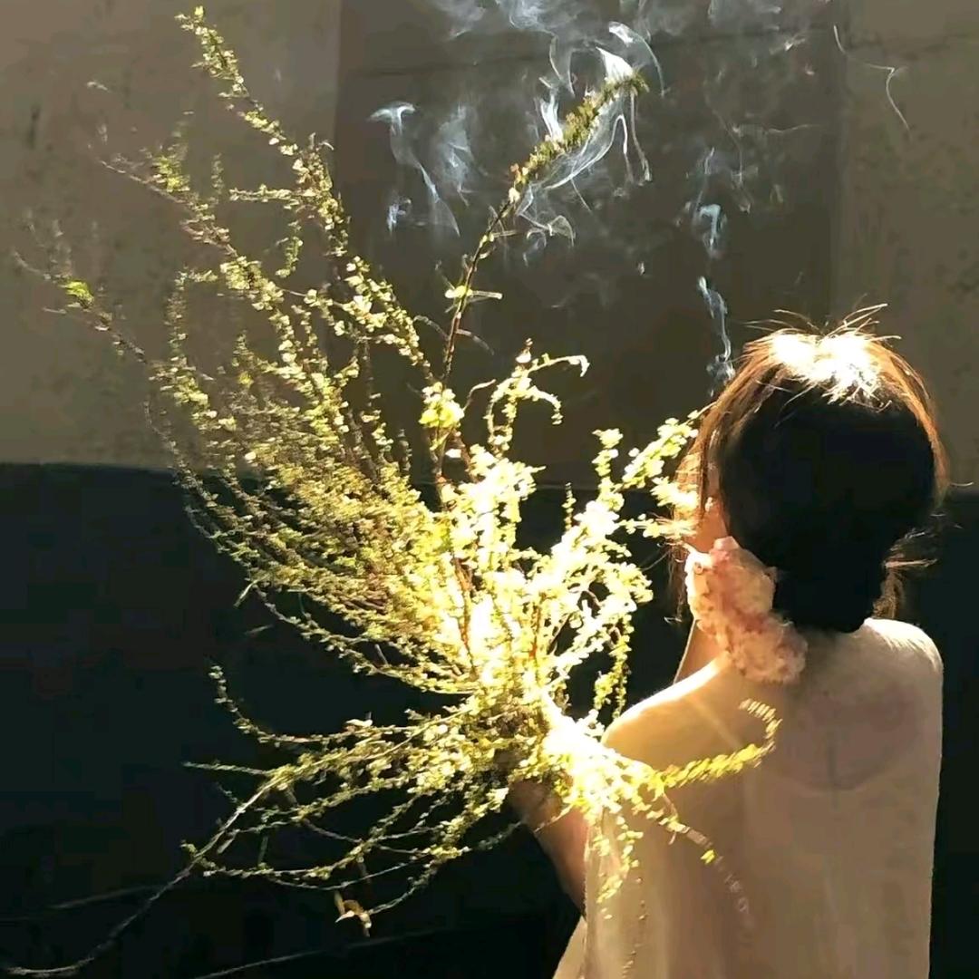 ༄吴漫漫🌸