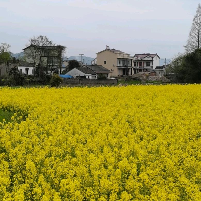 皖南近乡情土特产（清仓号）