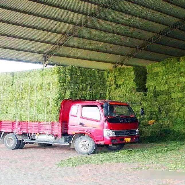 榆林隆泰草业