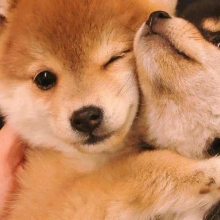 爱吃蛋挞的小姜💭