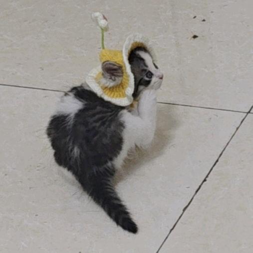小助手