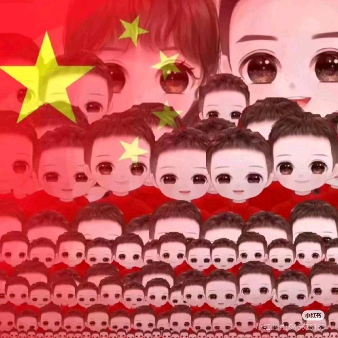 呆呆鸟