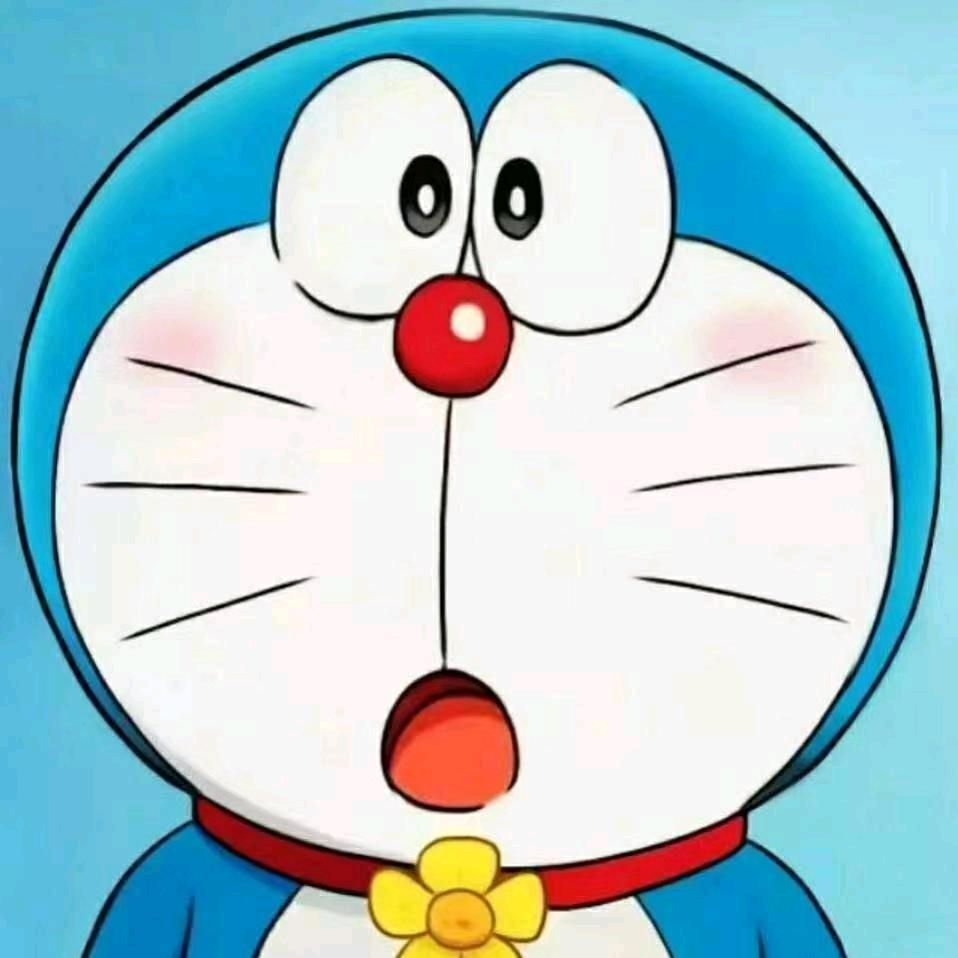 肖不会。