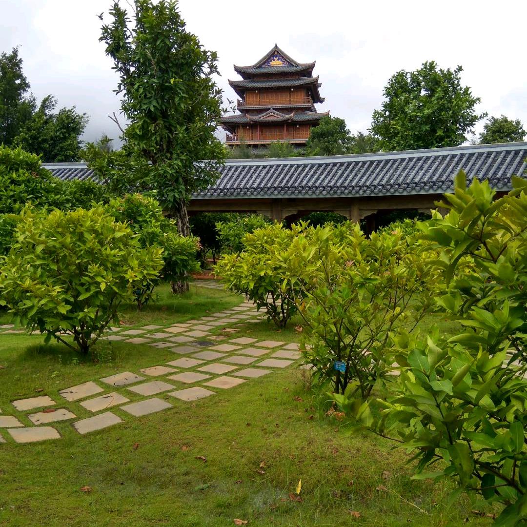 凯亮爷爷