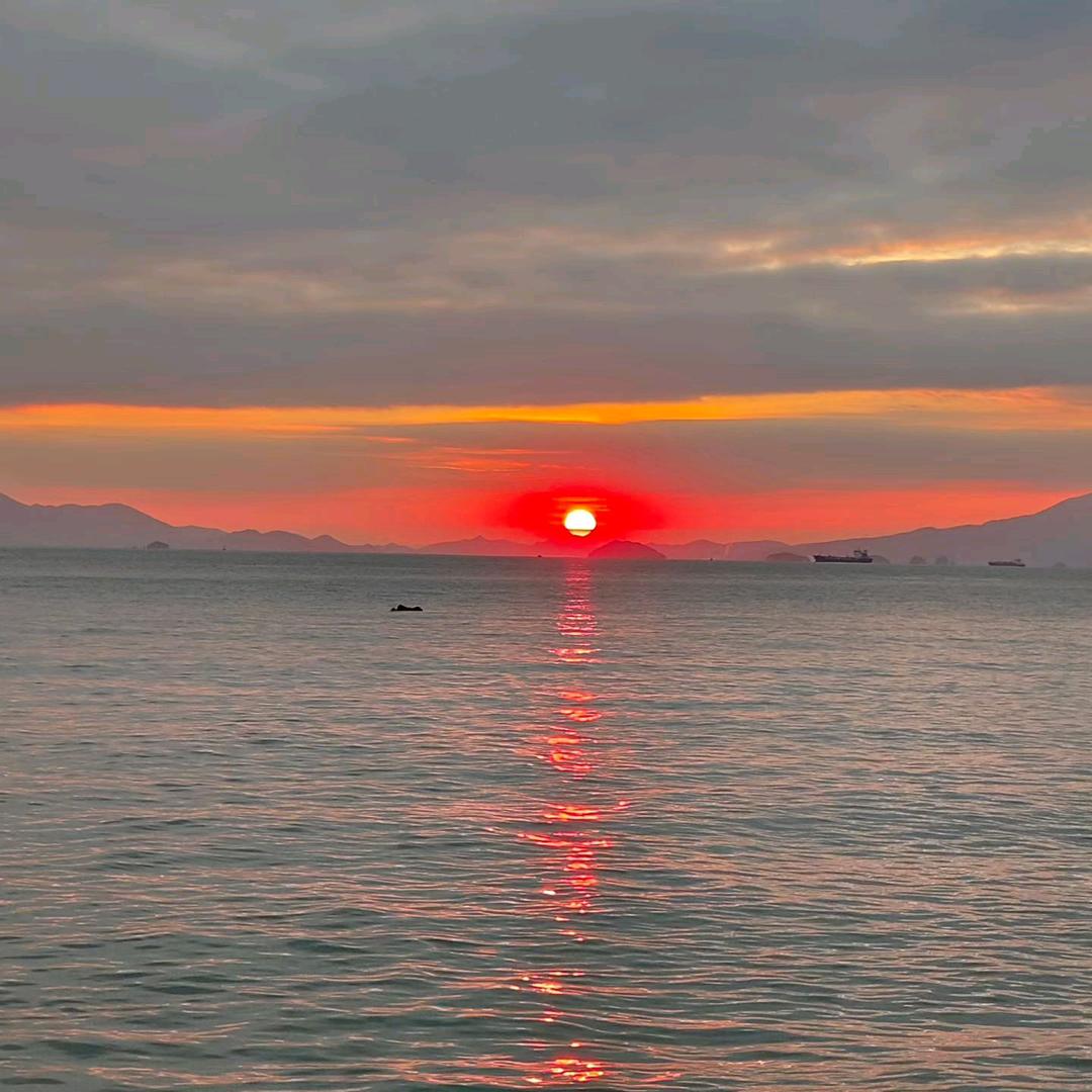 我想要两颗西柚