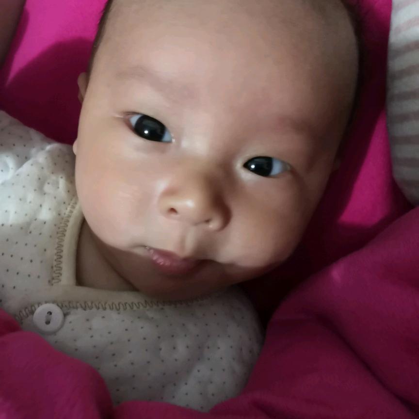 岁月静好，安之若素