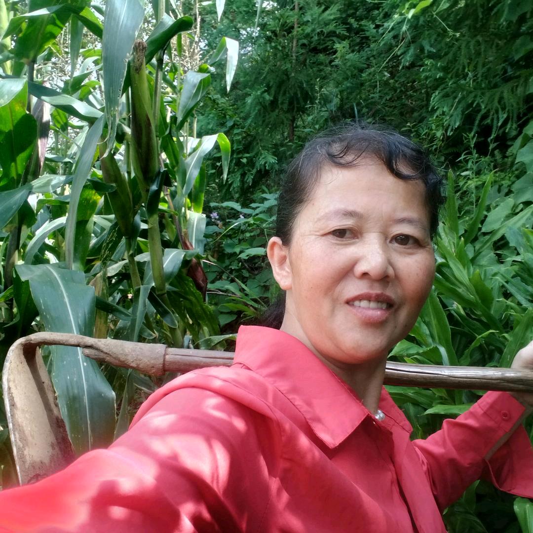 开心姐