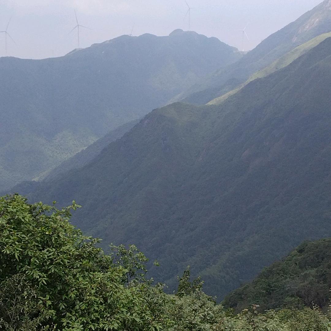 天山哥：