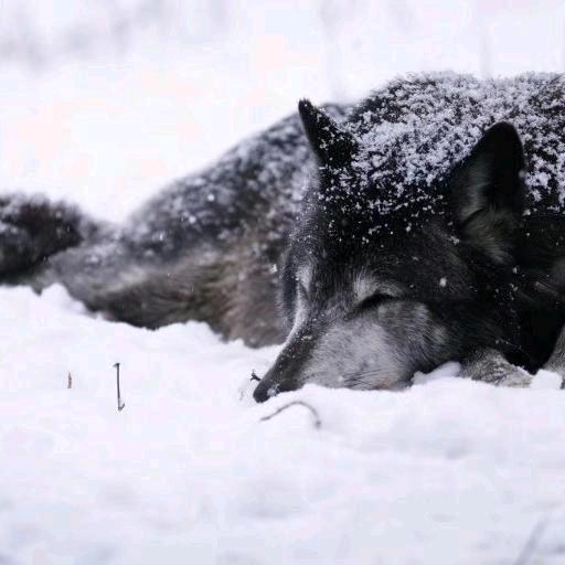 不容易《橱窗营业中》