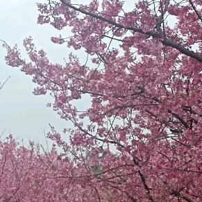 许多多(* ⁰̷̴͈꒨⁰̷̴͈)=͟͟͞