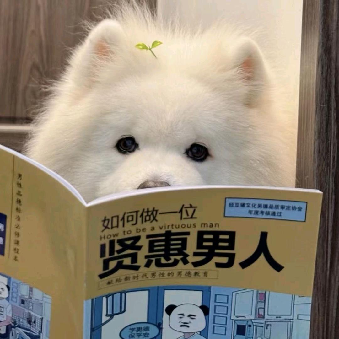 植物墙