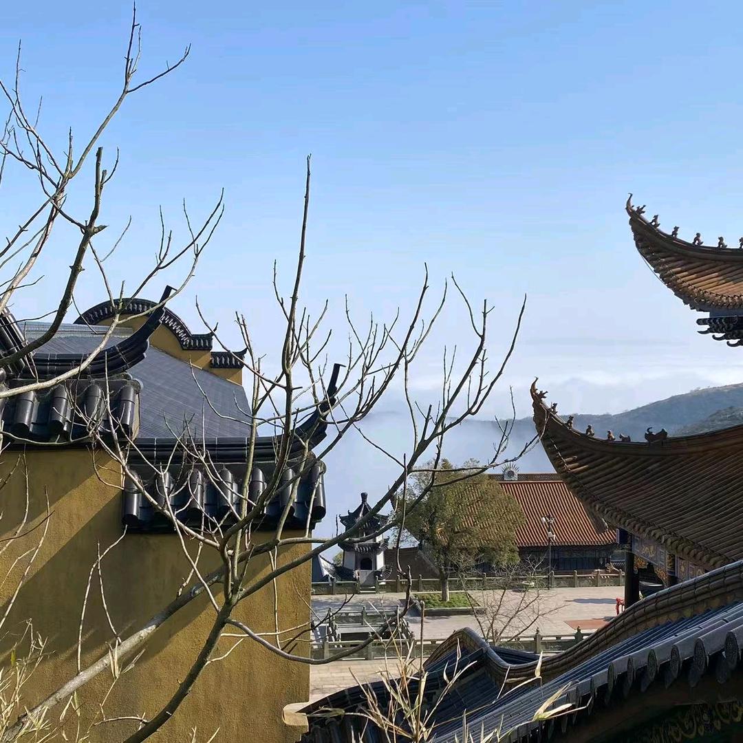 啊对对对不对不对不对