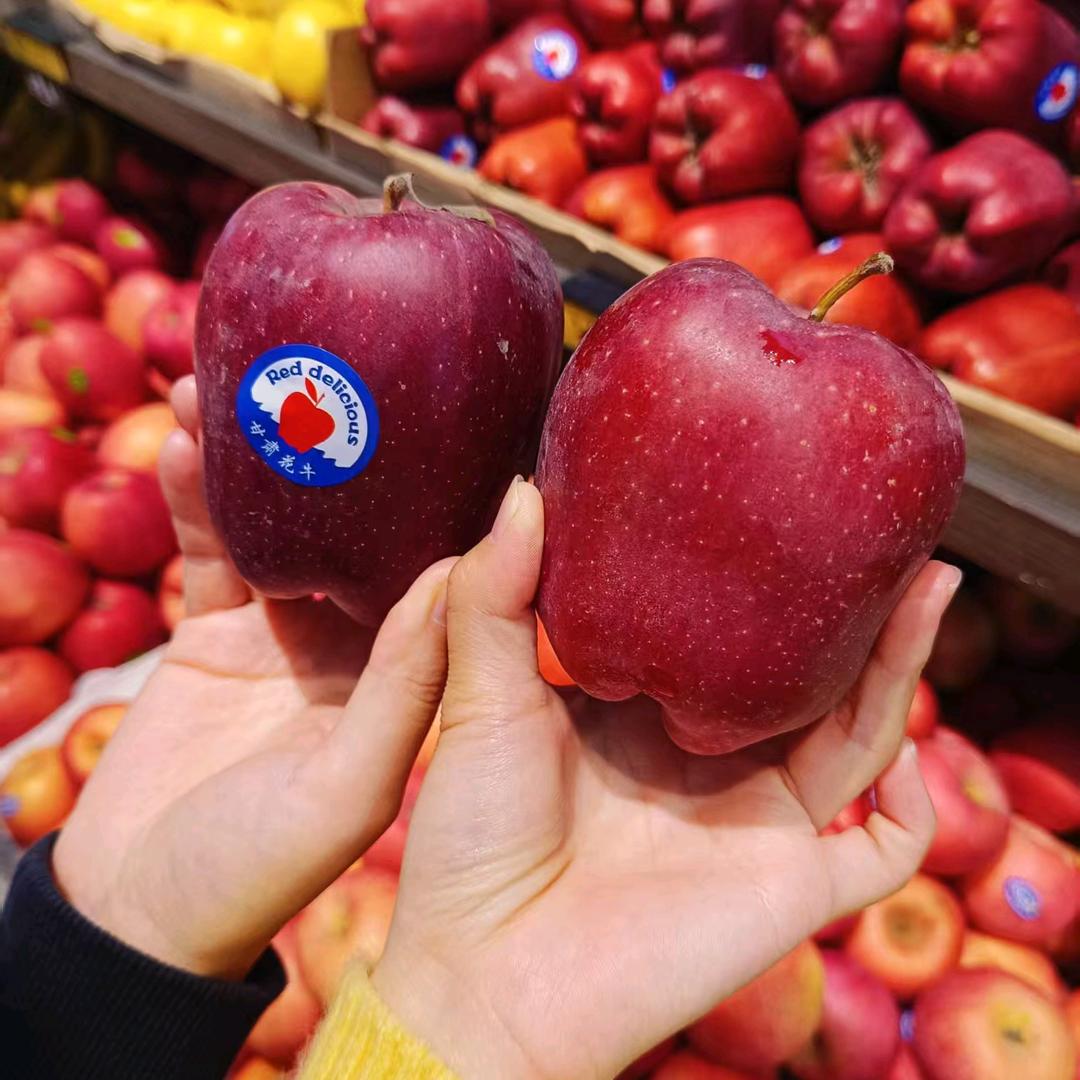 🌈彩虹下的大树