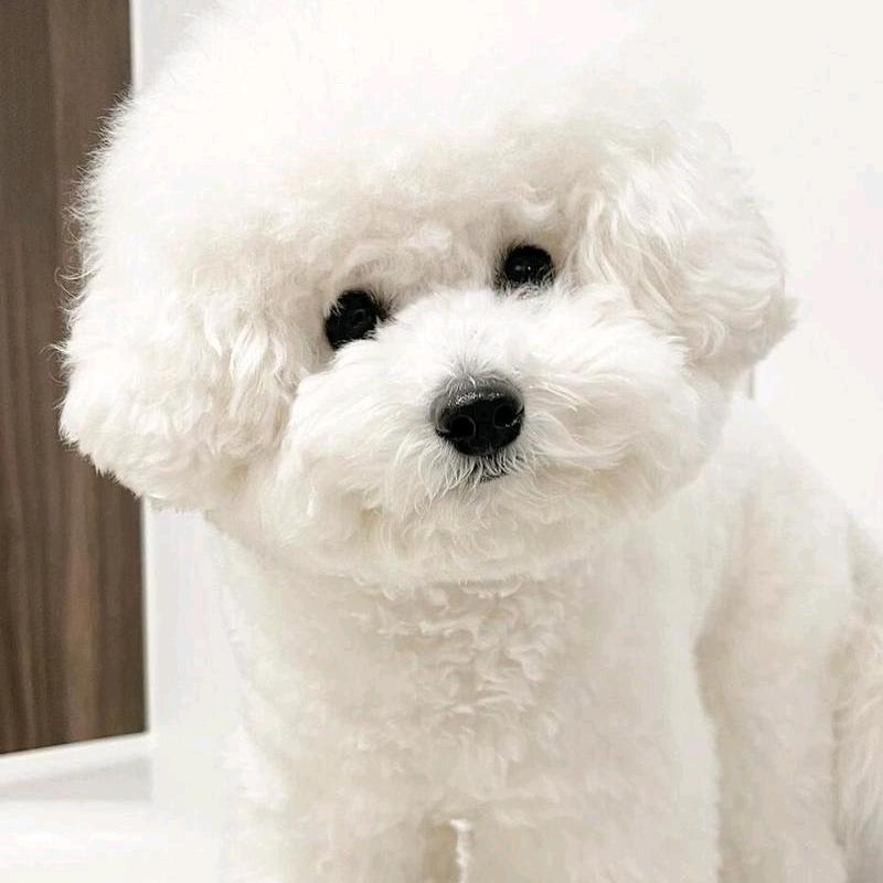 51抱抱