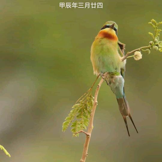 批发煤