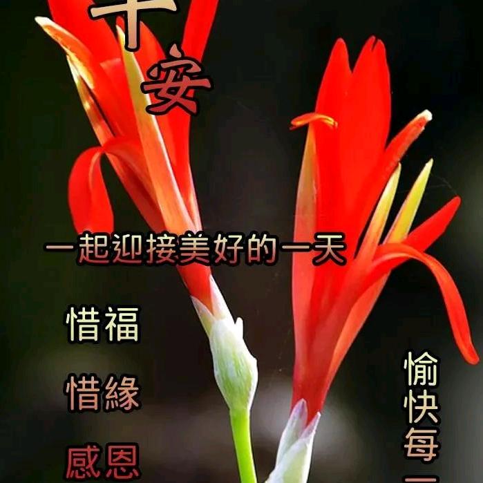 善待自己: