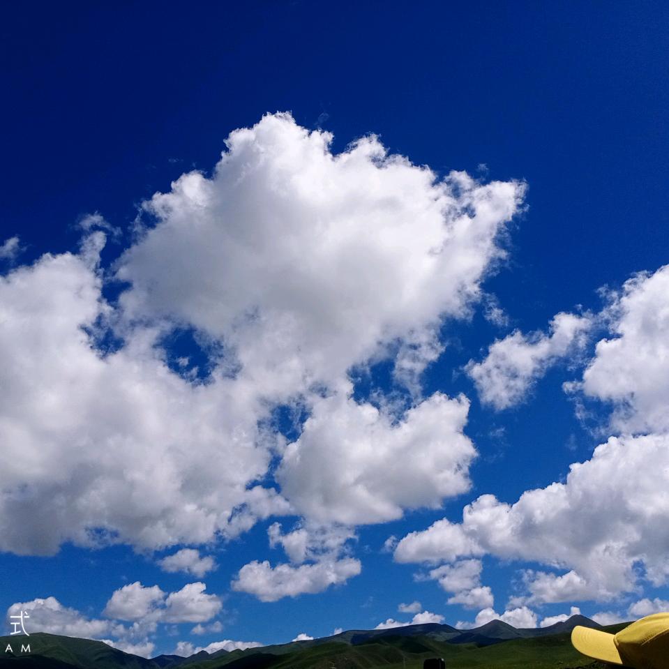 x兄弟情