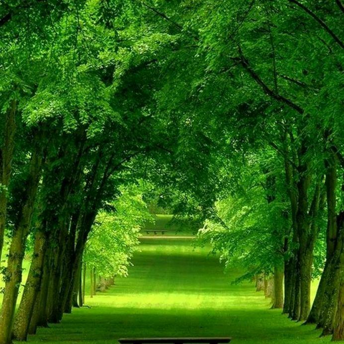 ╭(╯林熠╰)╮