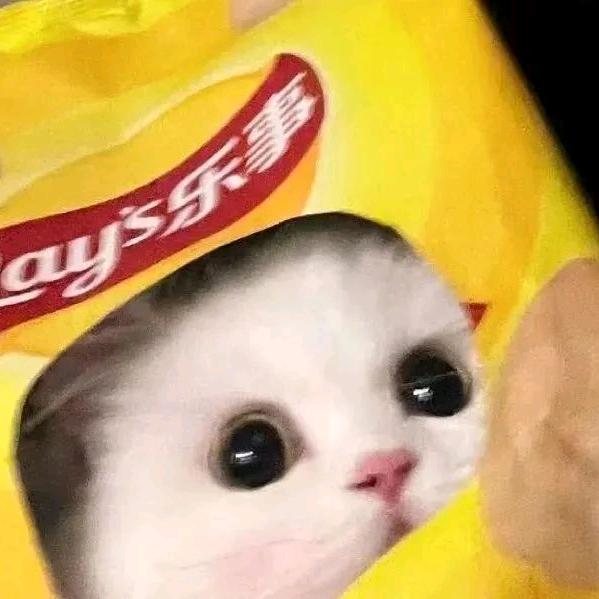 小羽⑉꒦ິ^꒦ິ⑉꧞