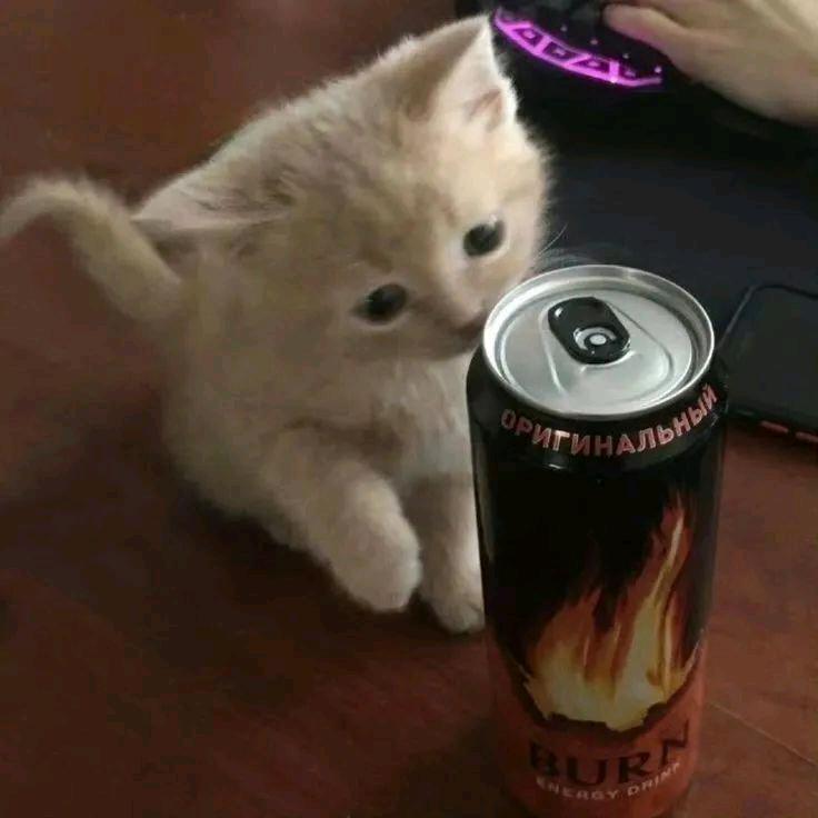 修女的半框眼镜